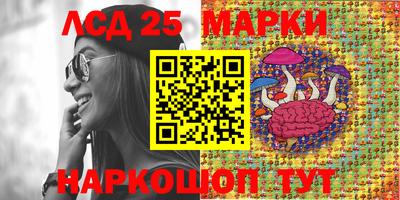 ПСИЛОЦИБИНОВЫЕ ГРИБЫ Краснодар