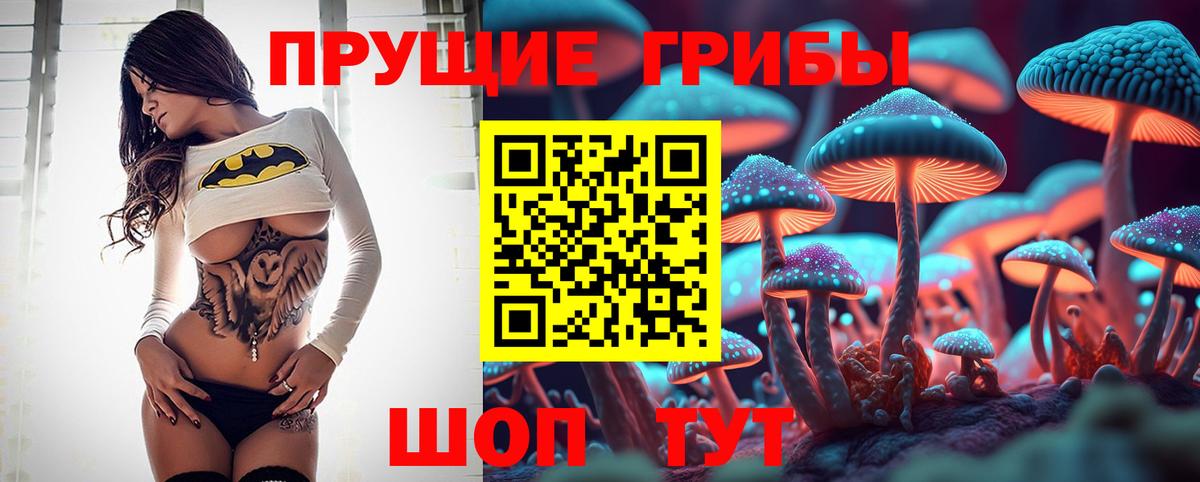 Галлюциногенные грибы Psilocybine cubensis Клинцы