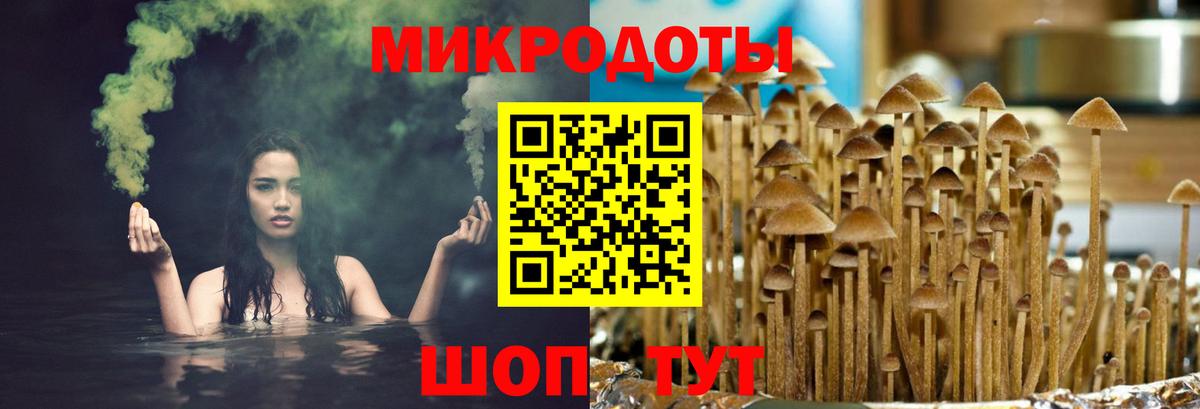 Клинцы  Псилоцибиновые грибы GOLDEN TEACHER  Вход с VPN 